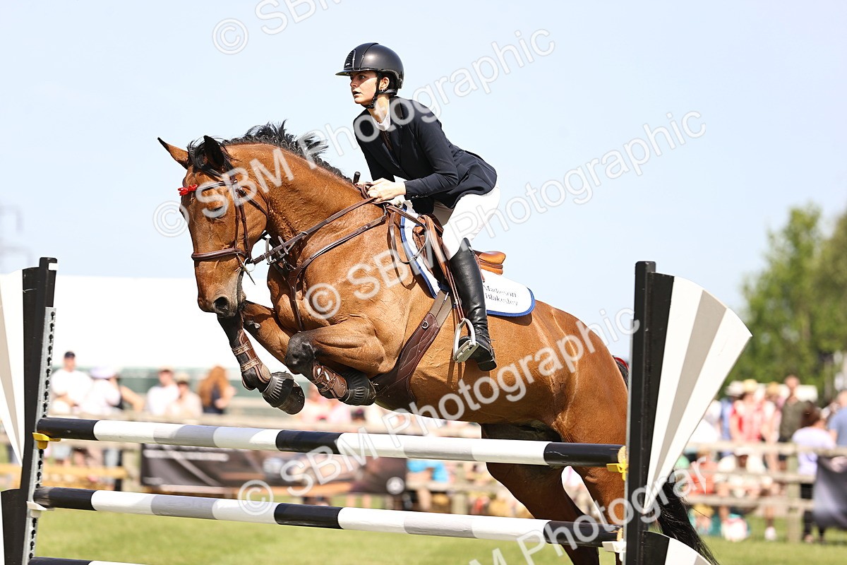 SBM_03121 - Class 201 - British Horse Feedds Speedi Beet HOYS Grade C
