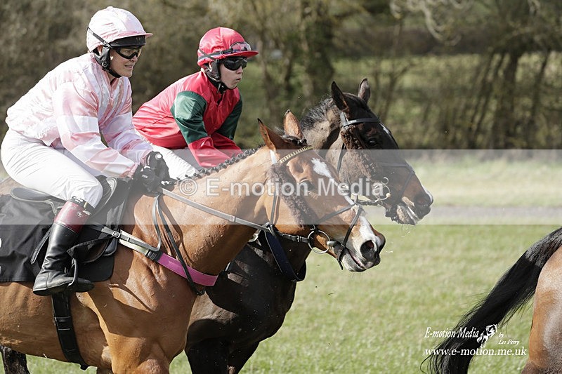 PtP 180323 697 - Shelfield Park Races with Croome & West Warwickshire Hunt  18/03/23