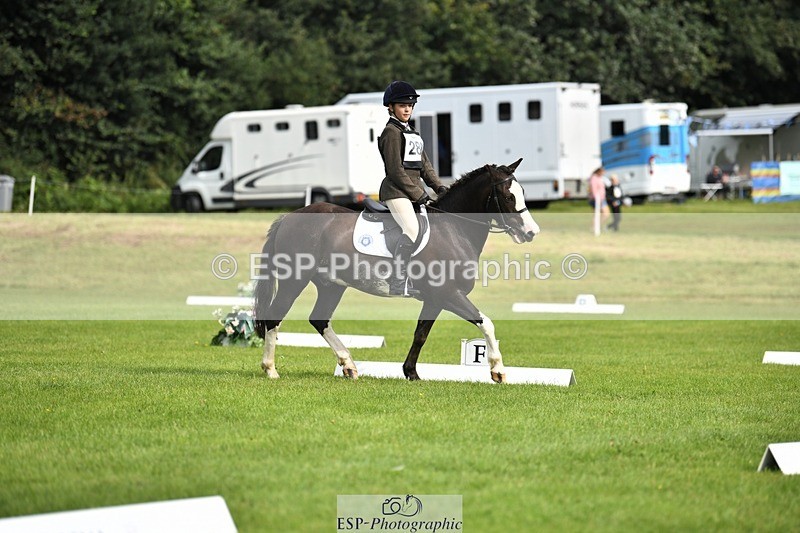 230826-100537-15357 - Sections C & D 9 to 10am