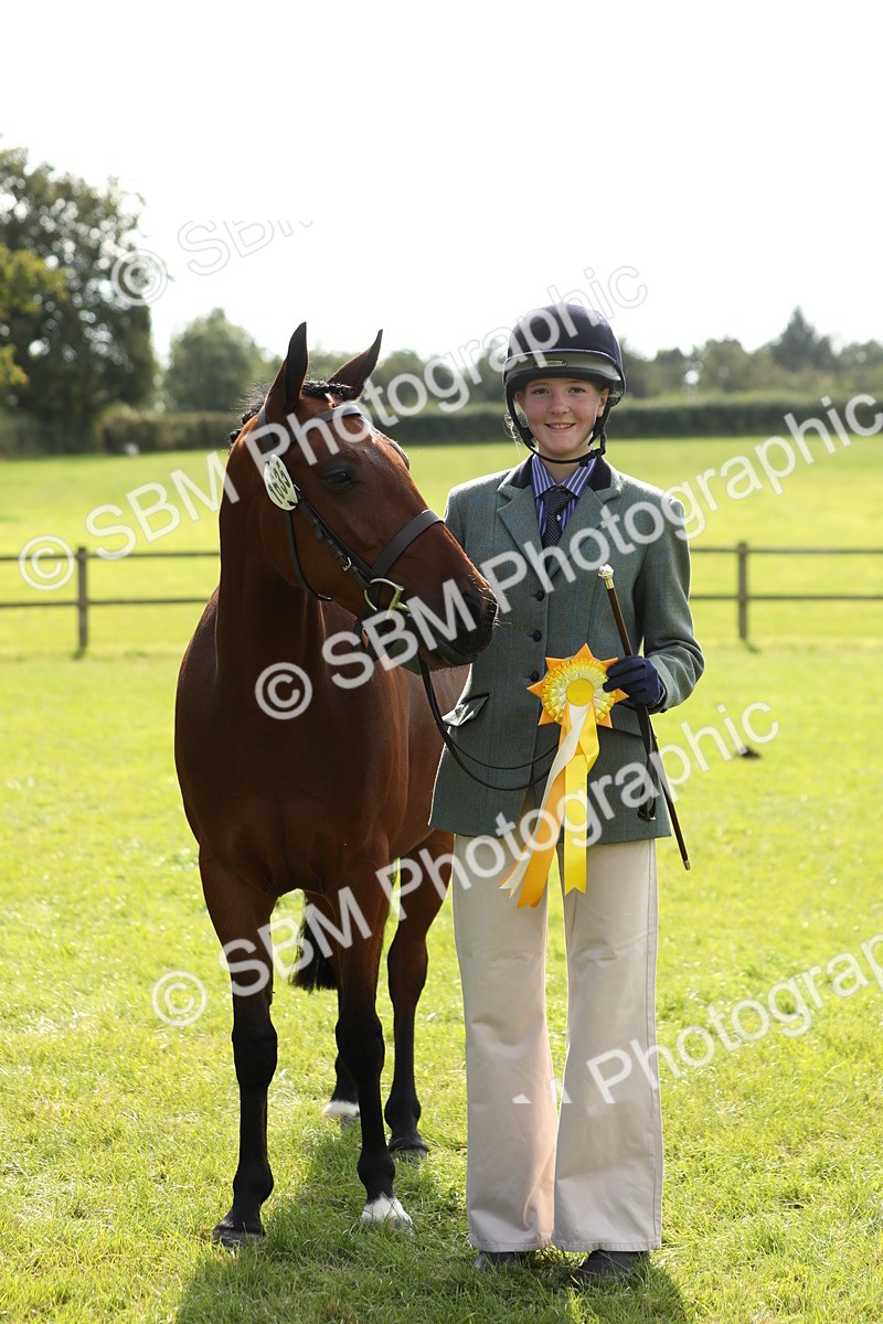 SBM_65635 - S48 - Show Pony & Show Hunter Pony In Hand