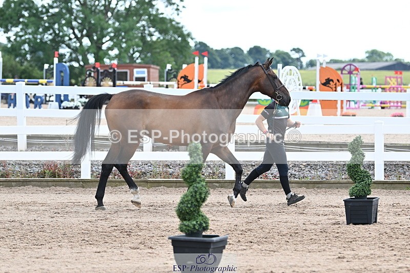 240717A-142534-02064 - Trot Up 2pm to 3pm - This folder is not in time order