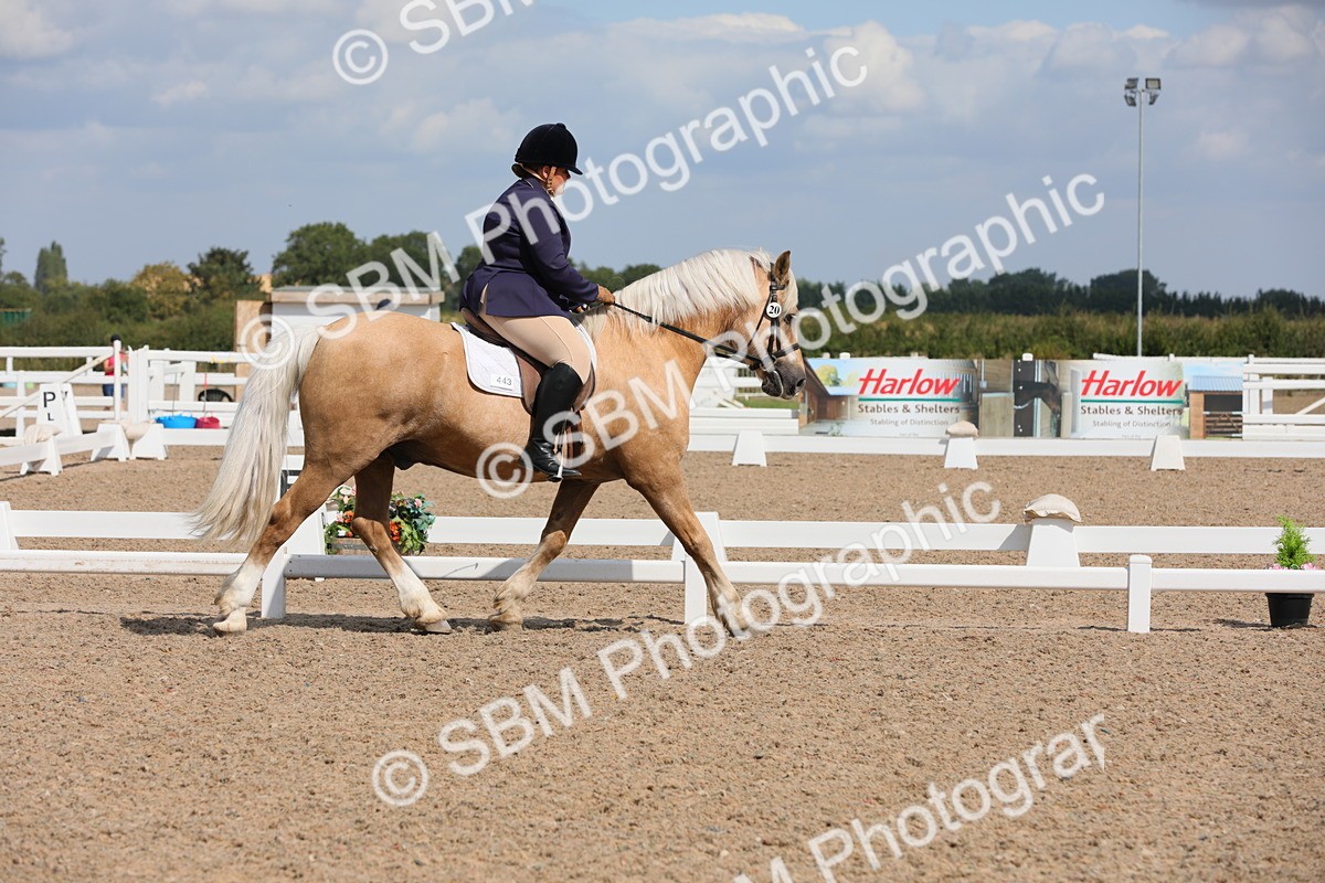 SBM_04022 - Class 31 Prelim 1