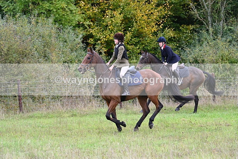 WJ7_3984 - Camera 1 Line 1