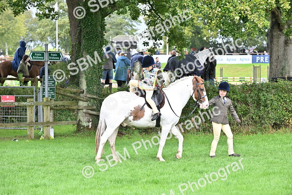 SBM_43057 - S12 - Family Horse & Pony