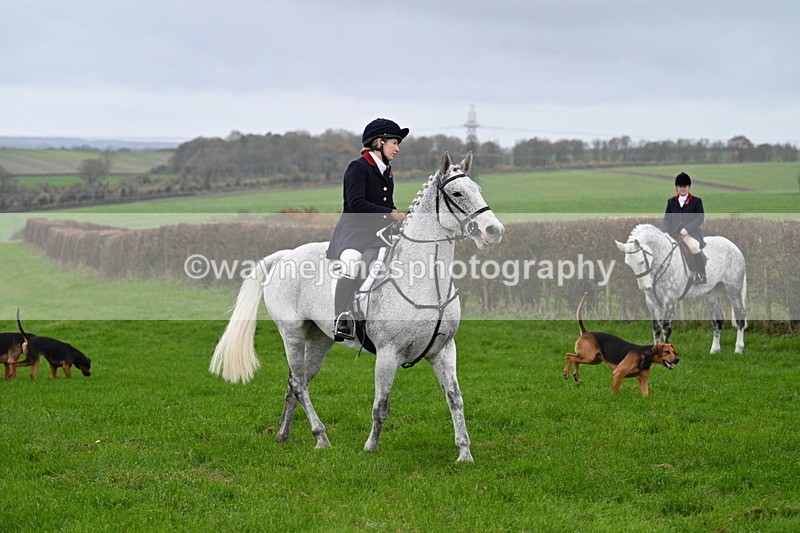 WJ7_8849 - Meet Staff & Hounds
