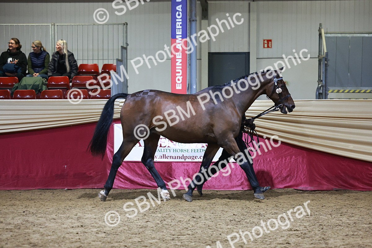 SBM_21527 - Class V - Champion of Champions