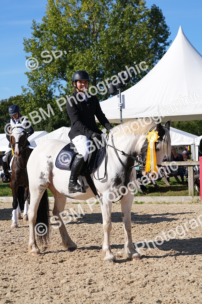SBM_36249 - J 20 - Junior Horse 50cm Championship
