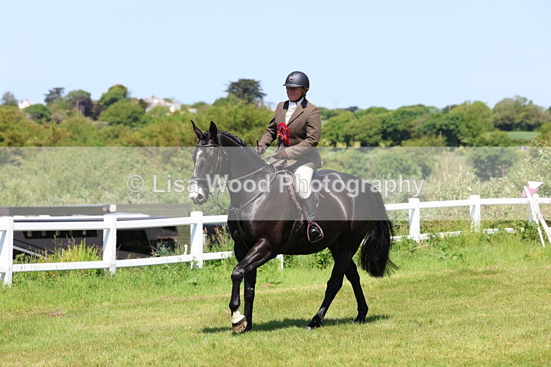3E7A7439 - Class 30: Novice Working Hunter