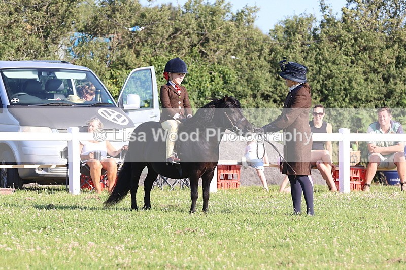 JPP_0855 - Class 16: Cornish Combination Leading Rein