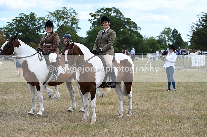 WJ7_5466 - Class 12 Ridden Cob