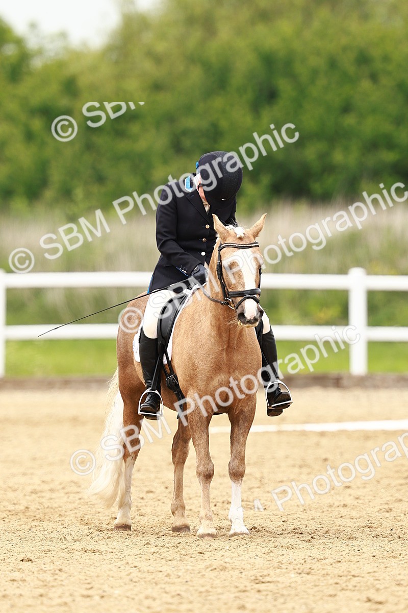 SBM_001788 - Class 7 - Novice 5