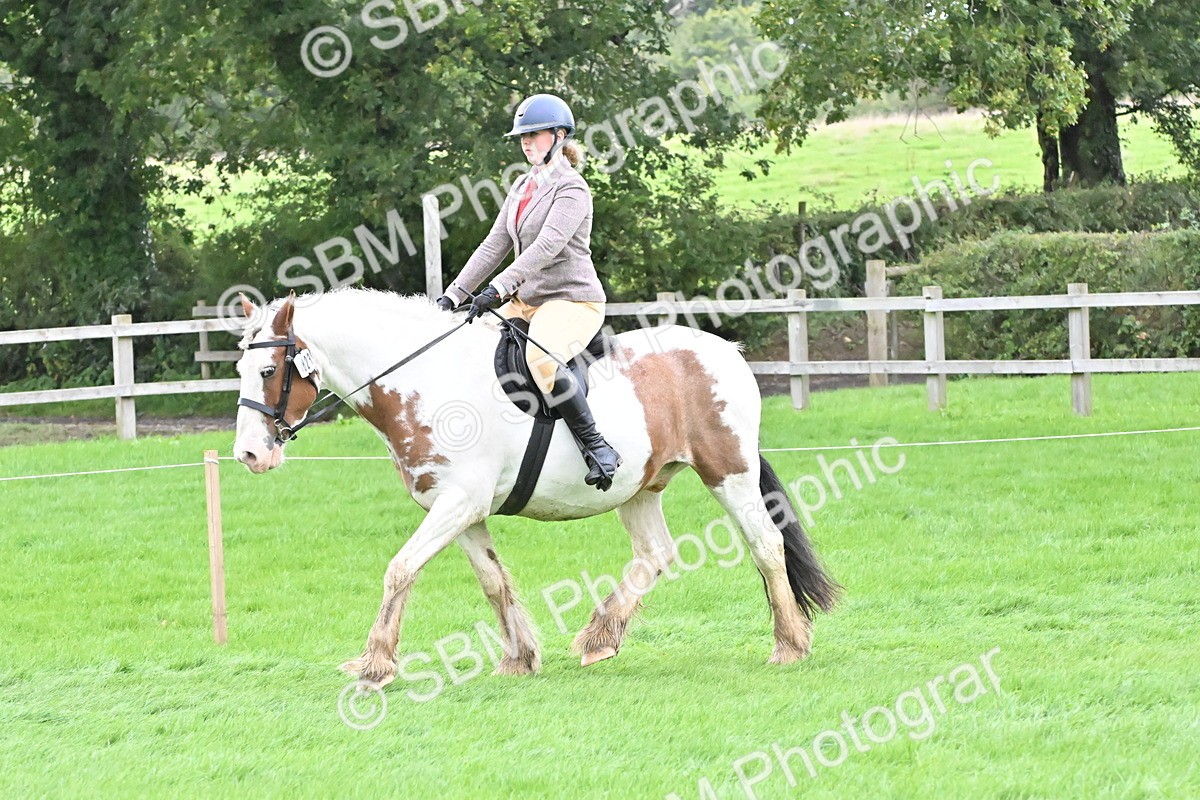 SBM_42894 - S12 - Family Horse & Pony