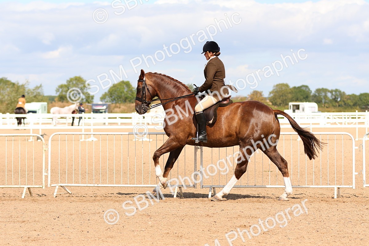 SBM_13492 - Class 212 - Ridden Hunter  - Large
