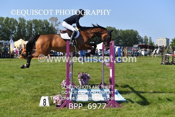 BPP_6977 - CLASS 2 The Ron Brady Sporthorses RHS Classic Championship Qualifier