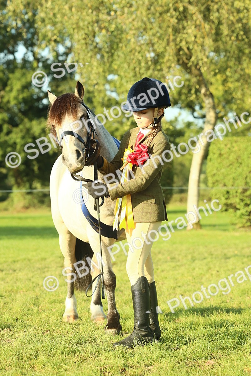 SBM_58469 - S37 - Starters In Hand Showing