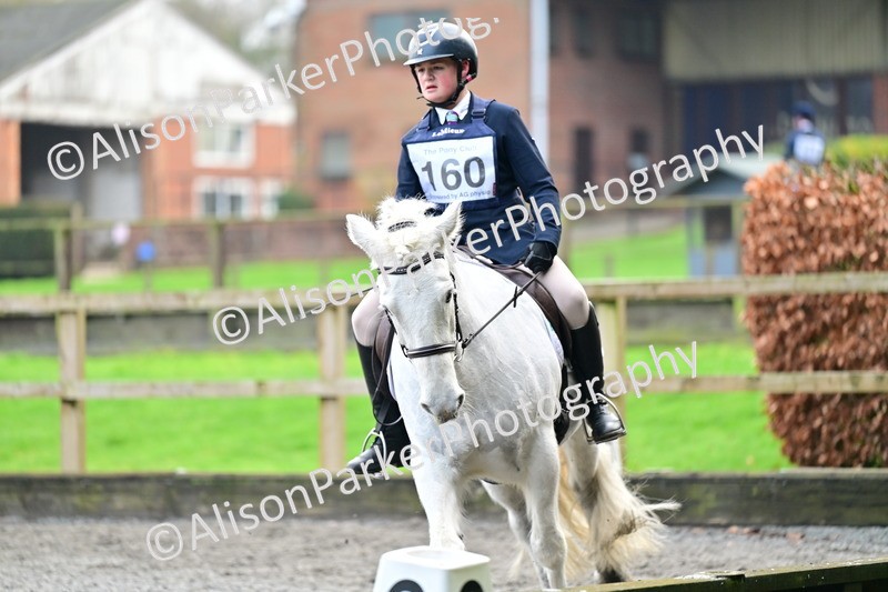 20260125-3653 - Class 12 - Novice