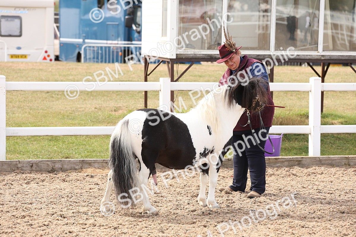 SBM_15099 - Class 209 - IH Veteran Pony