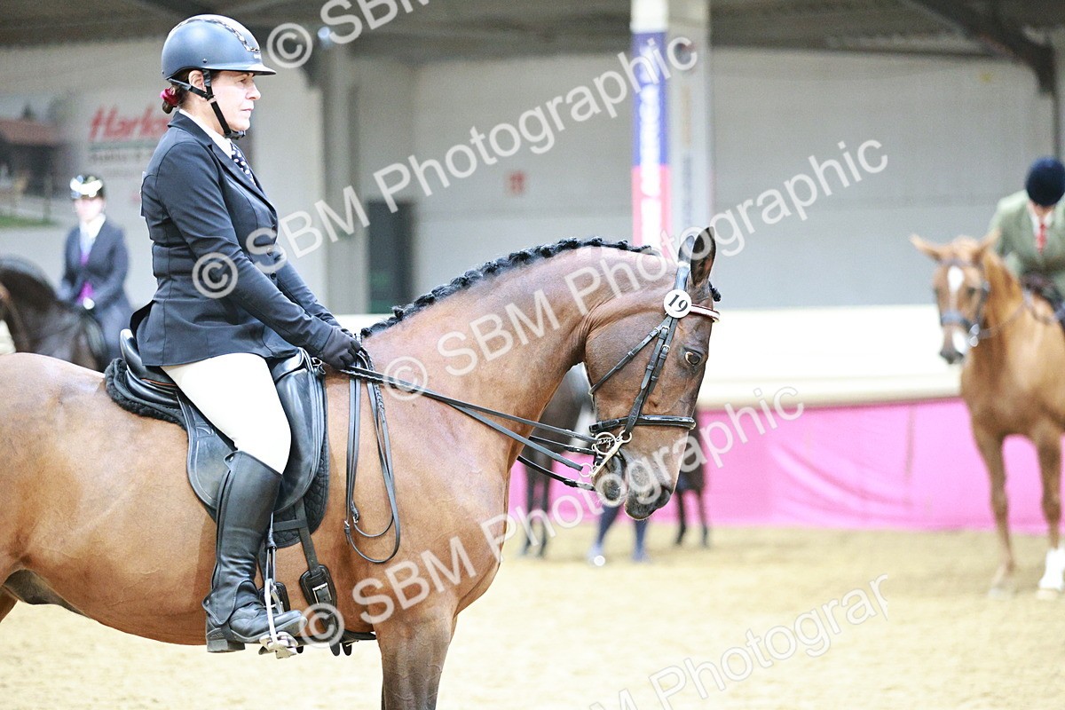 SBM_03409 - Class 6A Area Ridden Pre-Vet