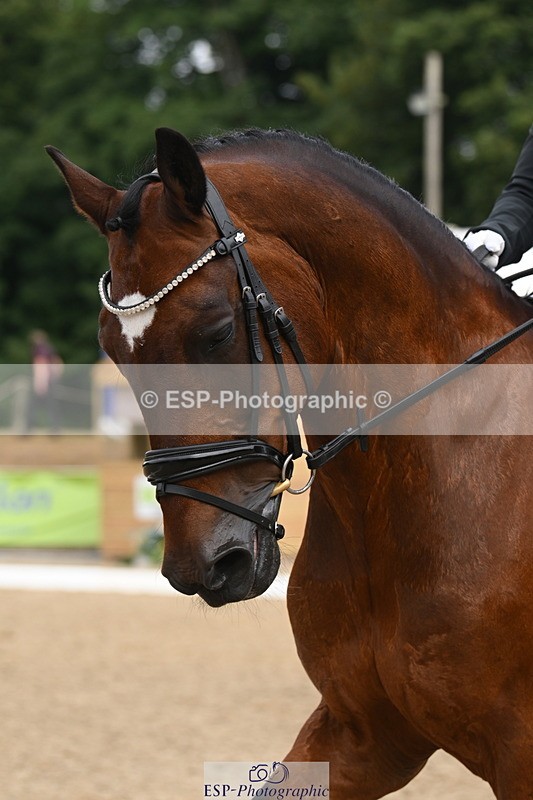 250719A-102745-03390 - 143-Danielle.Thackray-Trevoulter.Mega.Mix.Two