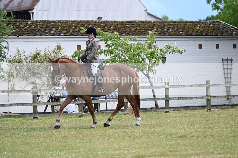 WJ7_9354 - Class 8 Ridden Veterans