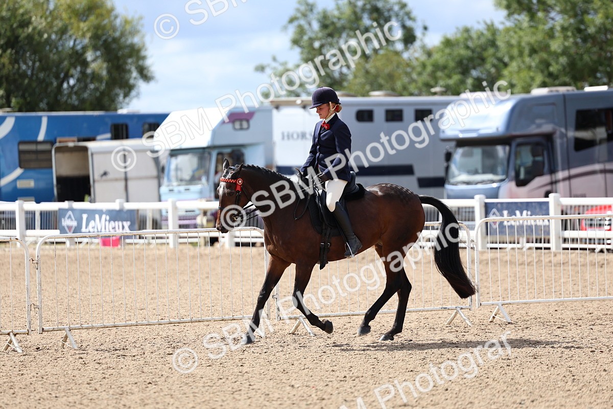 SBM_13293 - Class 311 - Ridden Show Pony Show Hunter Pony