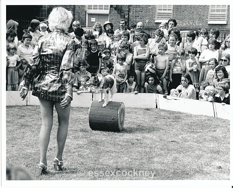  - Open air Circus Barmy park Bethnal green