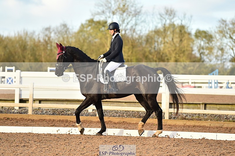 231104A-151446-02293 - Cls 14 Adv Medium 98