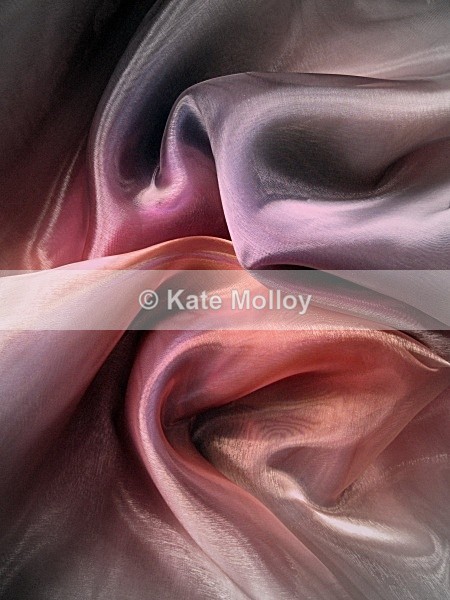 Falling Folds - Professional Photographer of the Year 2008 Competition