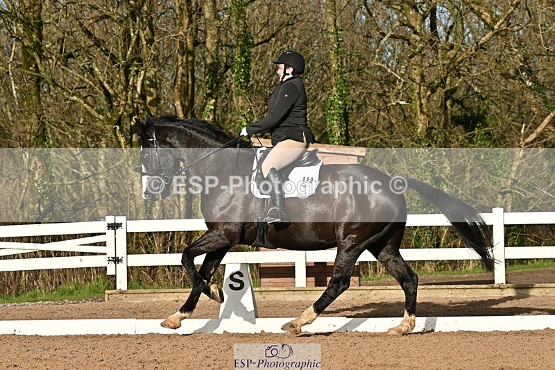 241214-132519-02416 - 119-Rosey.Bradburn-High.Spirits.II