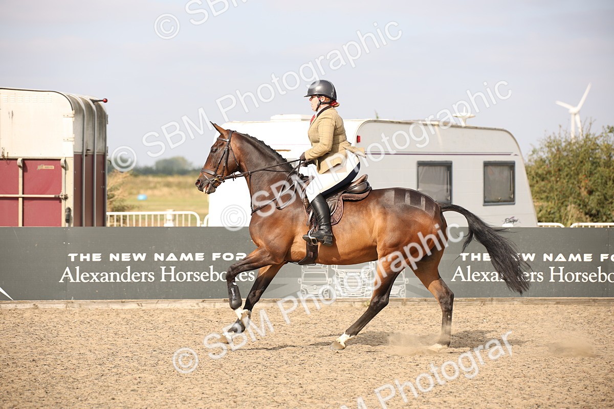 SBM_17282 - Class 410a - Wor5king Veteran 90cm (15-19)