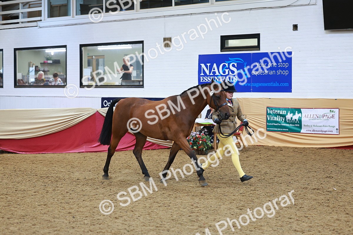 SBM_12614 - Class 103 - HOYS Veteran Qualifier - Ridden Pre Vet