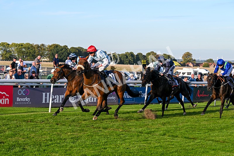 220926-Race 8-Horwich-5461 - Race 8 5.35pm End Of Season Handicap