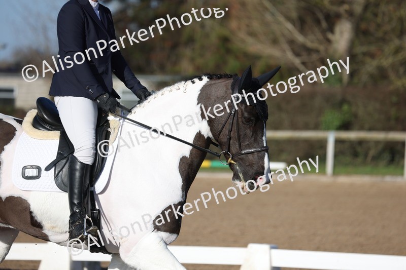 20260128-0284 - Class 3 - Novice 4