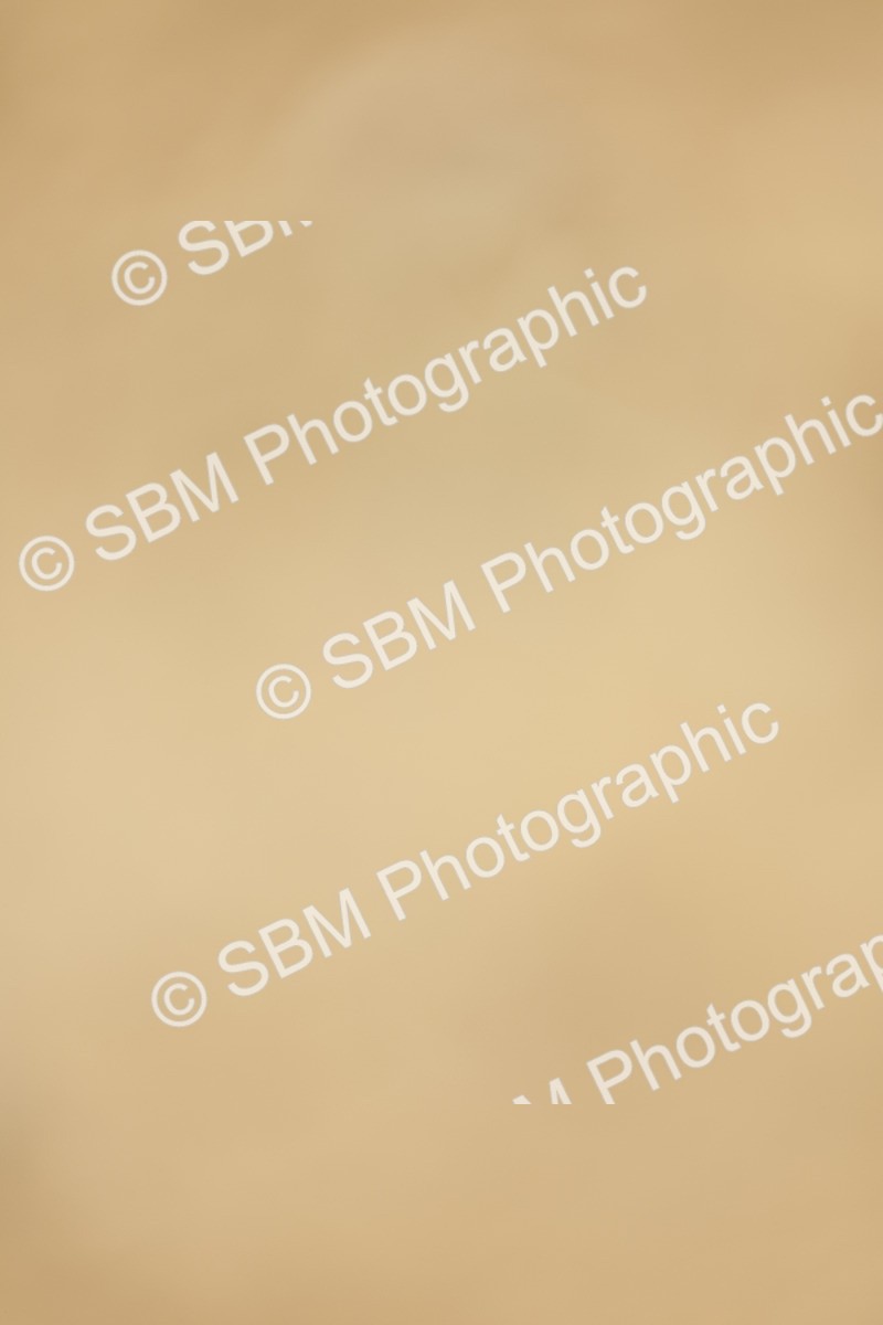 SBM_019488 - Class 21 - jump offs