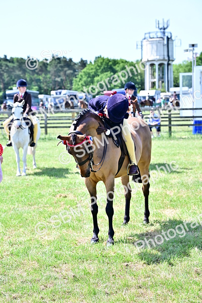 SBM_14026 - Class 95-97 - BSPS LHS Performance Ponies