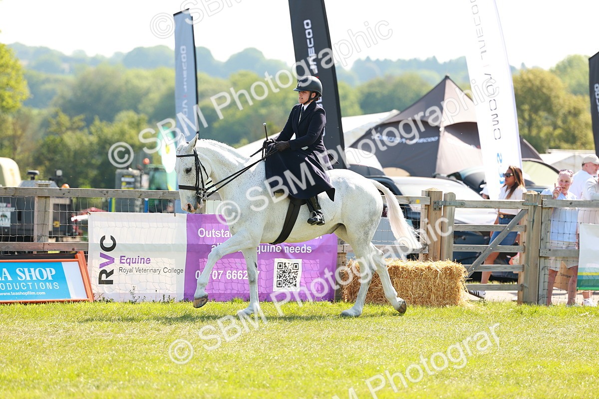 SBM_13172 - Class 70-71 - Side Saddle