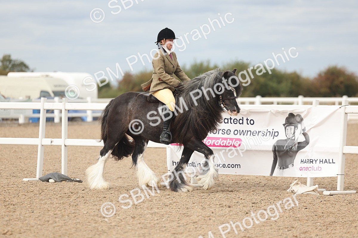 SBM_17977 - Class 314 - Family Horse Pony