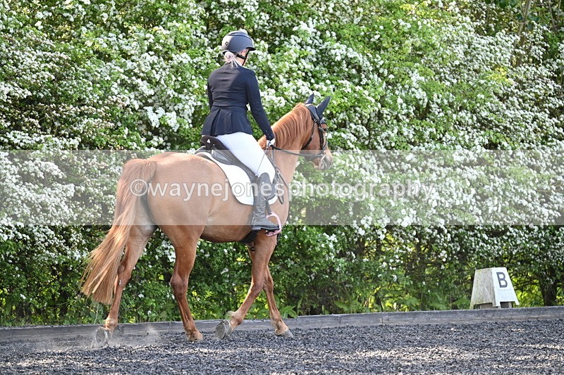 WJ7_7531 - Time 09:00 to 09:35