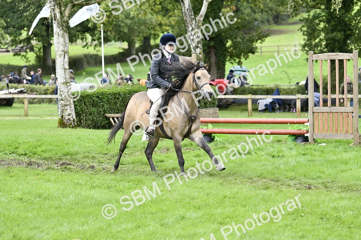 SBM_41350 - S32 - Mountain & Moorland Working Hunter Pony