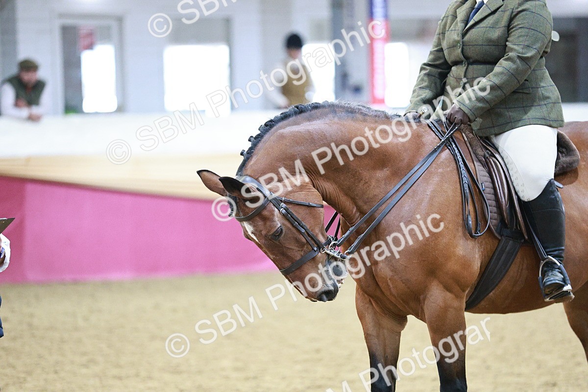 SBM_08197 - Class 11R - Regional Ridden Veteran