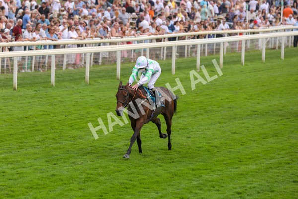 100923-Race 3-Yorkindness-3855 - Race 3 2.45pm Fine Details Vehicle Valeting Handicap