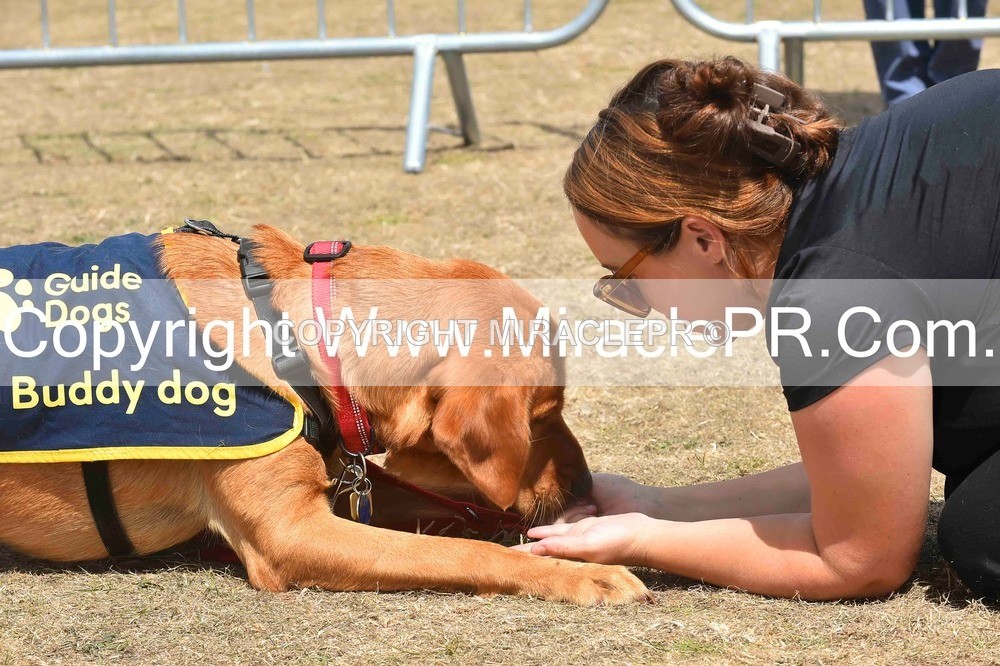SH4_0236 - Dog show.