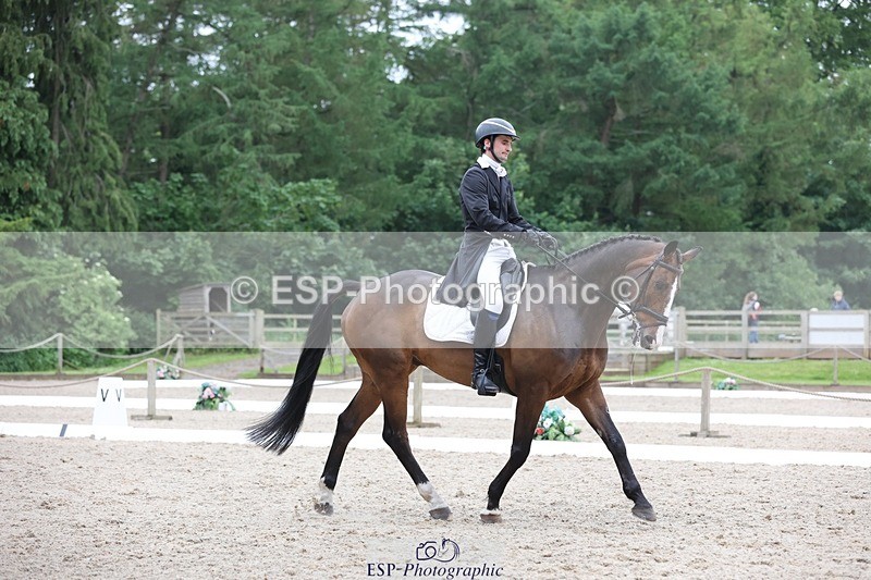 240523-164926-06062 - 235-GREENHALL_JAY-Henry_Hobby