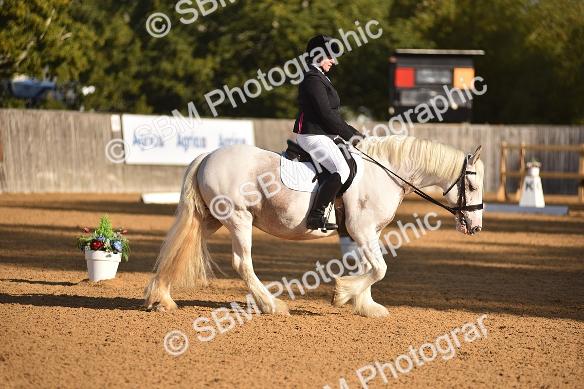 SBM_15734 - D4 - Small Tour Championship Intro 4