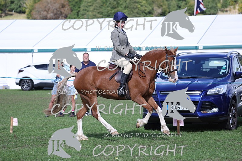 APP_3086 - Class 11 Veterans ridden