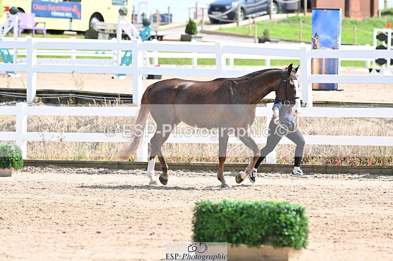 240717A-151412-02664 - Trot Up 3pm to 4pm