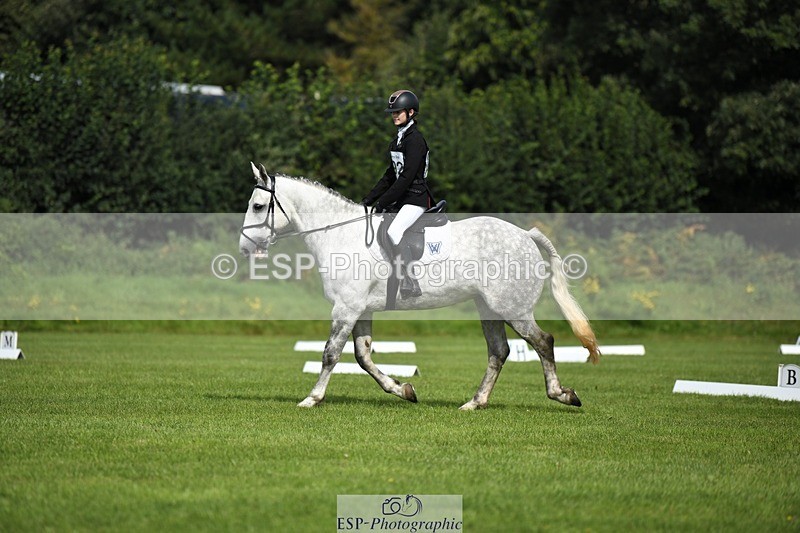 230826-105351-15644 - Sections C & D 10 to End