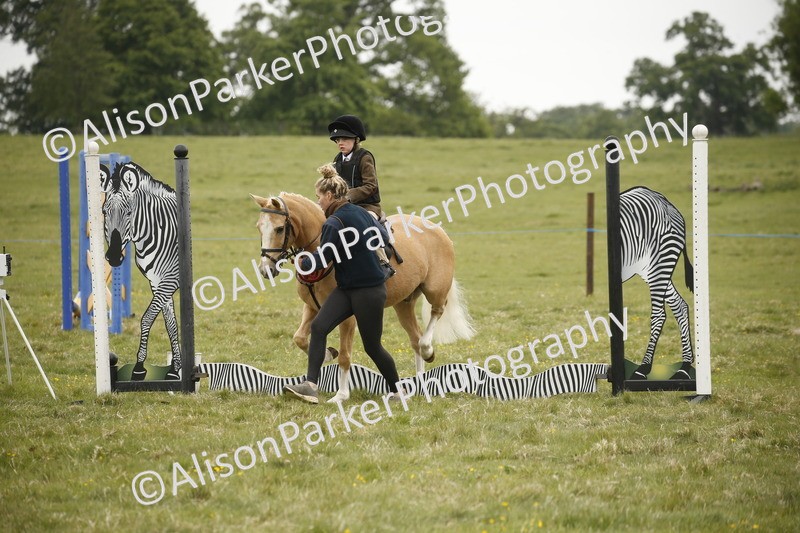 20250517-0212 - Class 1 - 30cm On Lead Rein