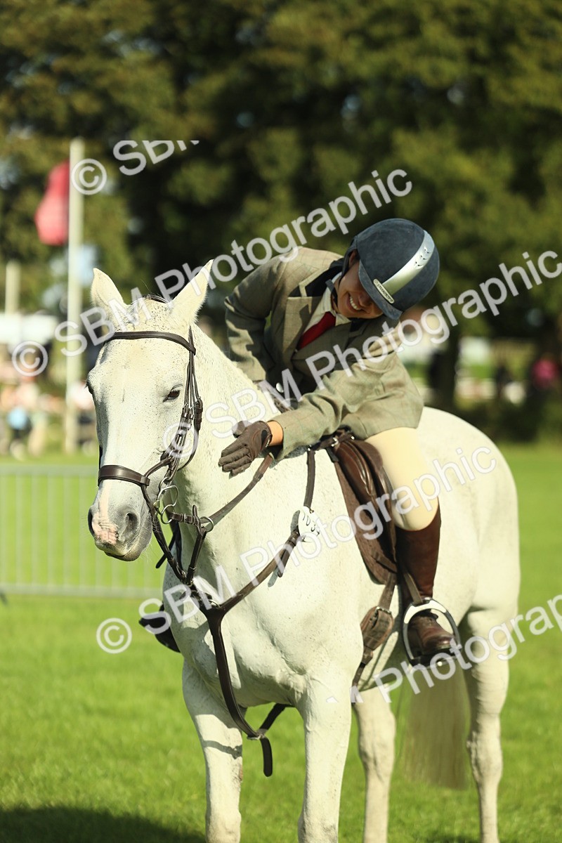 SBM_49864 - S32 - Novice & Newcomers Working Hunter