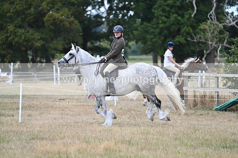 WJ7_5025 - Class 12 Ridden Cob